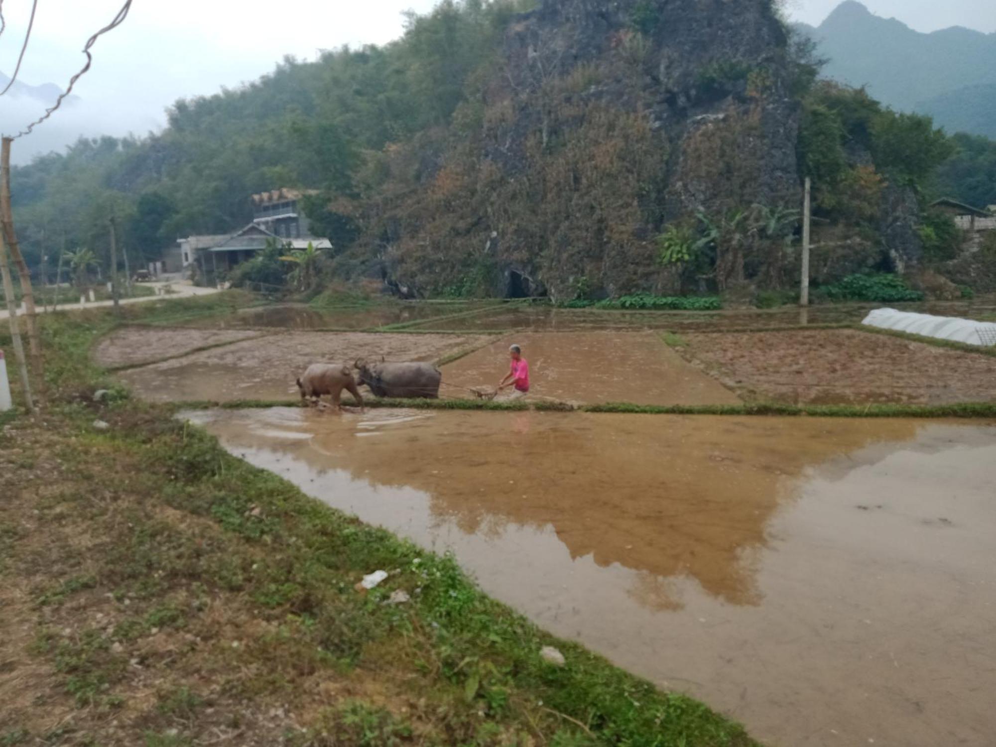 Truong Huy Homestay Mai Chau Exterior photo